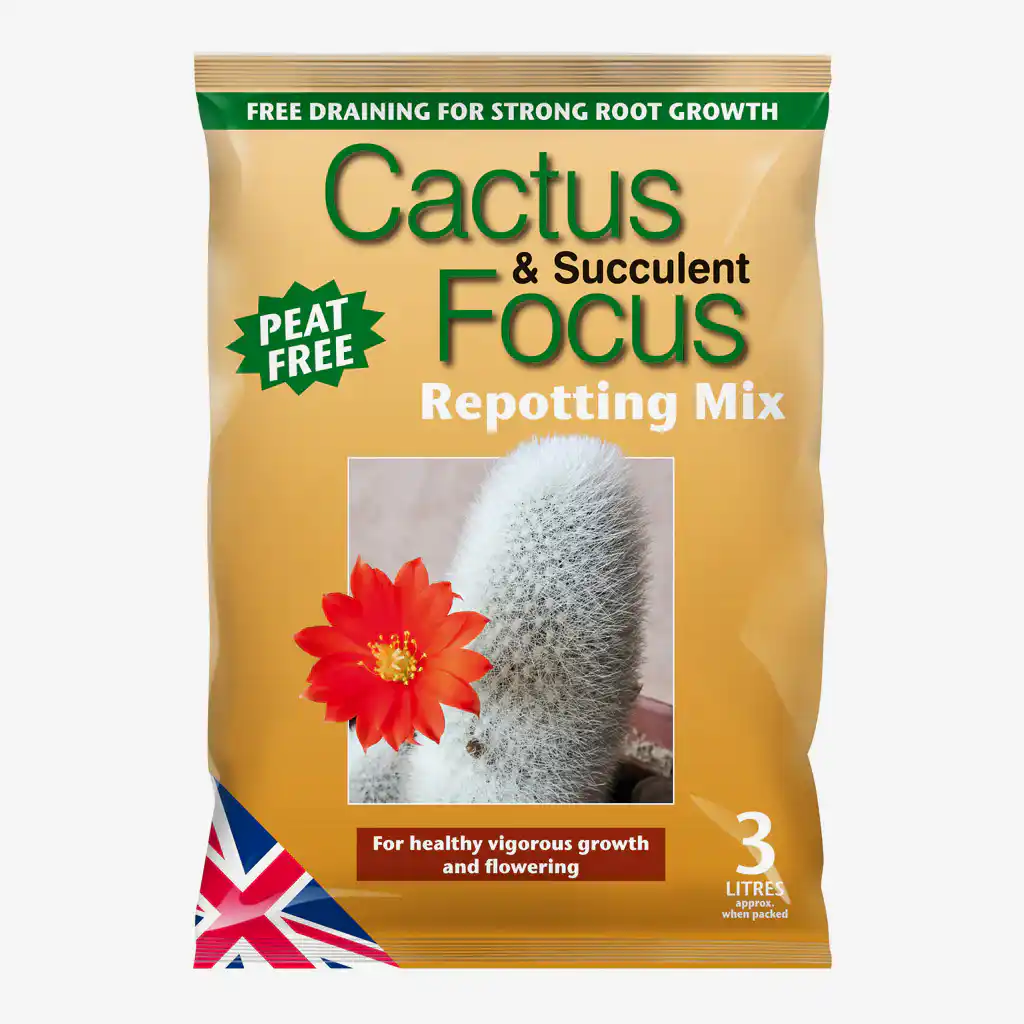 Cactus &amp; Succulent Repotting Mix - 3 Litres