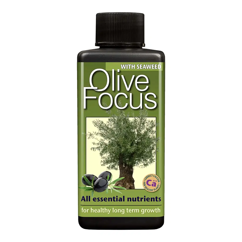 Olive Focus - Plant Nutrition - 100ml