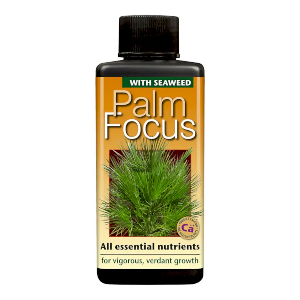 Palm Focus - Plant Nutrition - 100ml