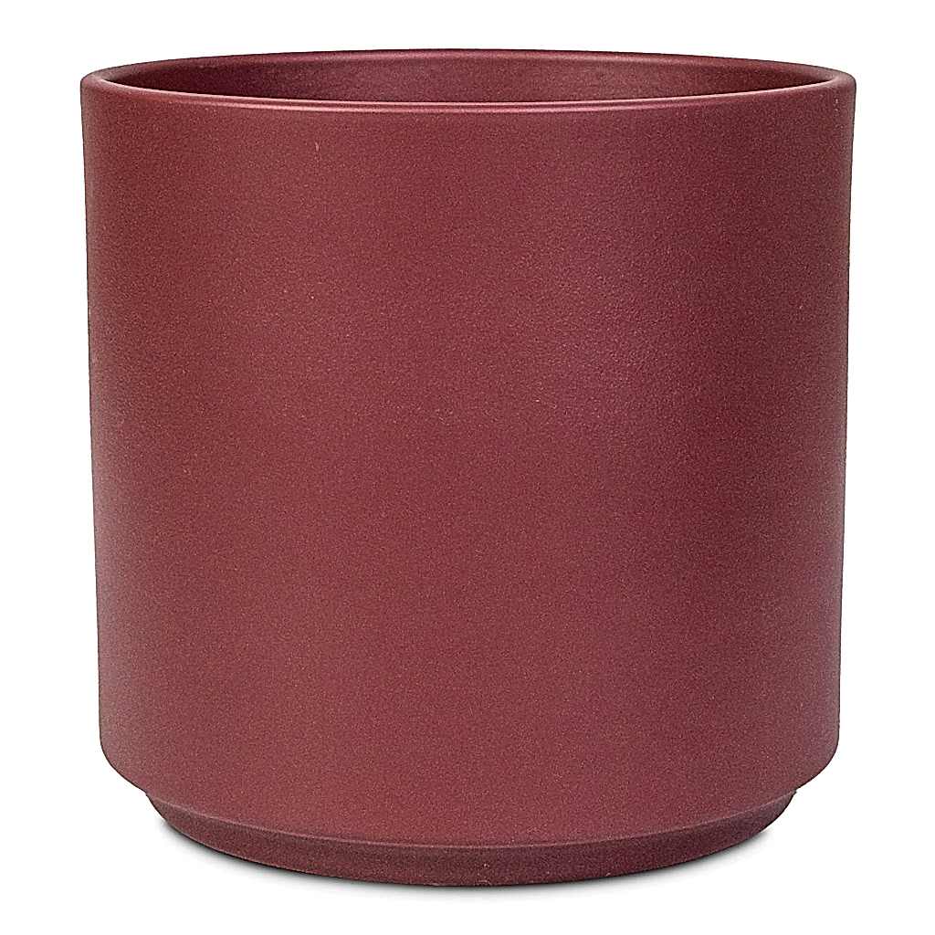 Prague Pot Rose - 16x16cm