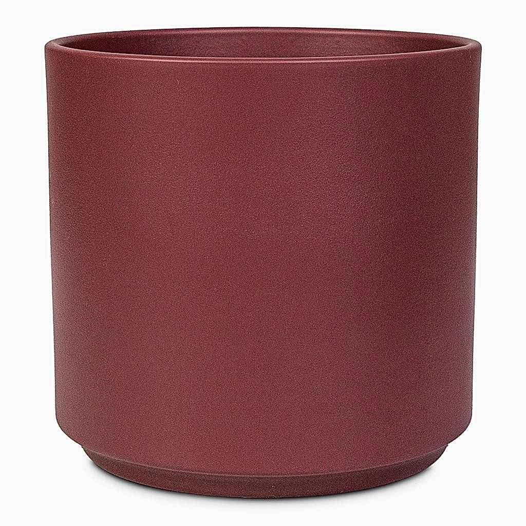 Prague Pot Rose - 16x16cm