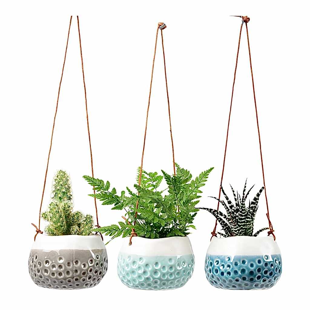 Baby Dotty Hanging Indoor Plant Pots Trio
