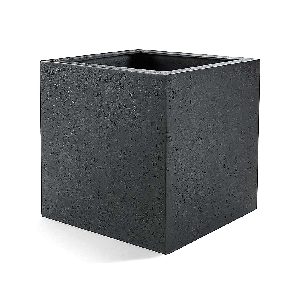 Grigio Cube Planter - Anthracite Concrete