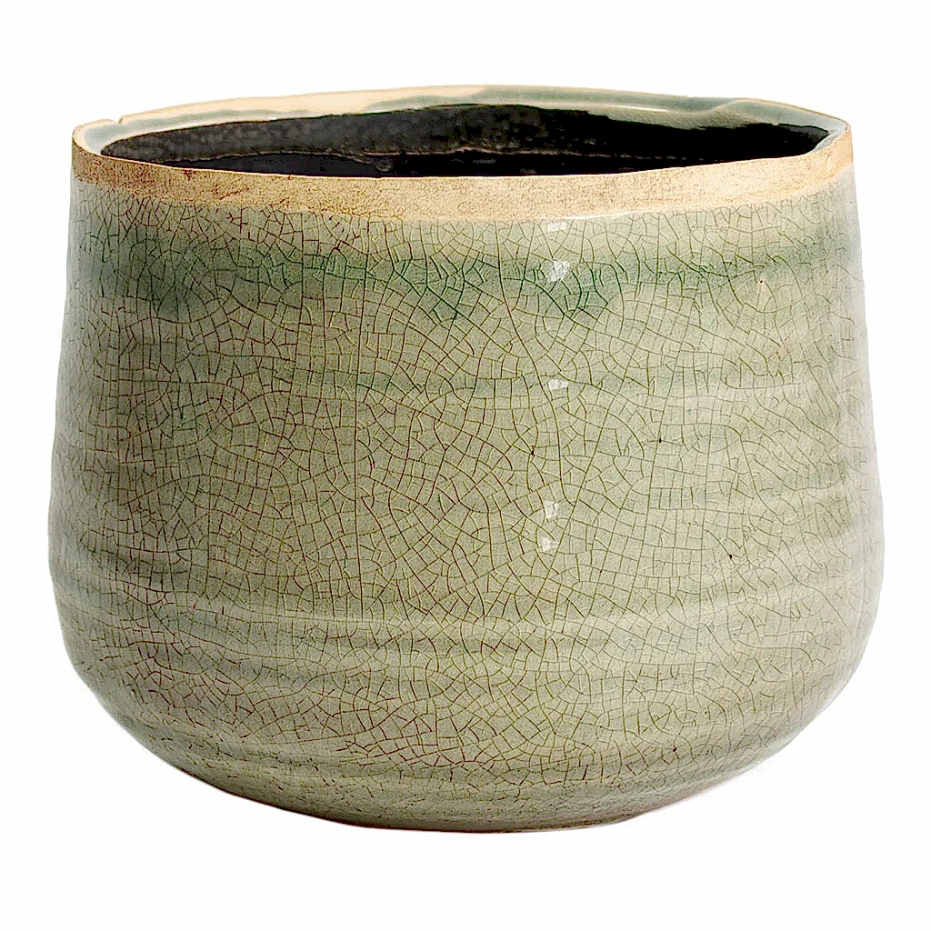Iris Plant Pot - Mint Large