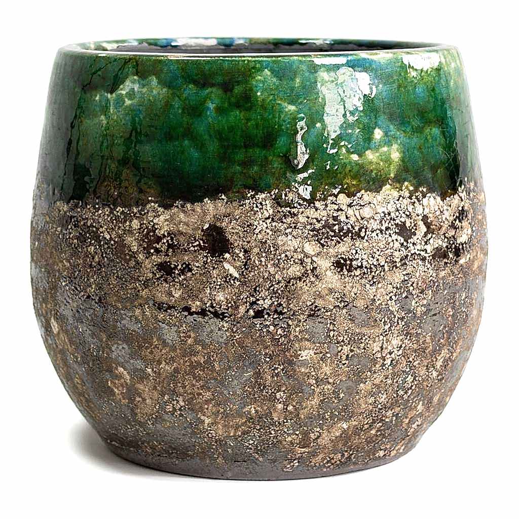 Lindy Plant Pot Black Green Large