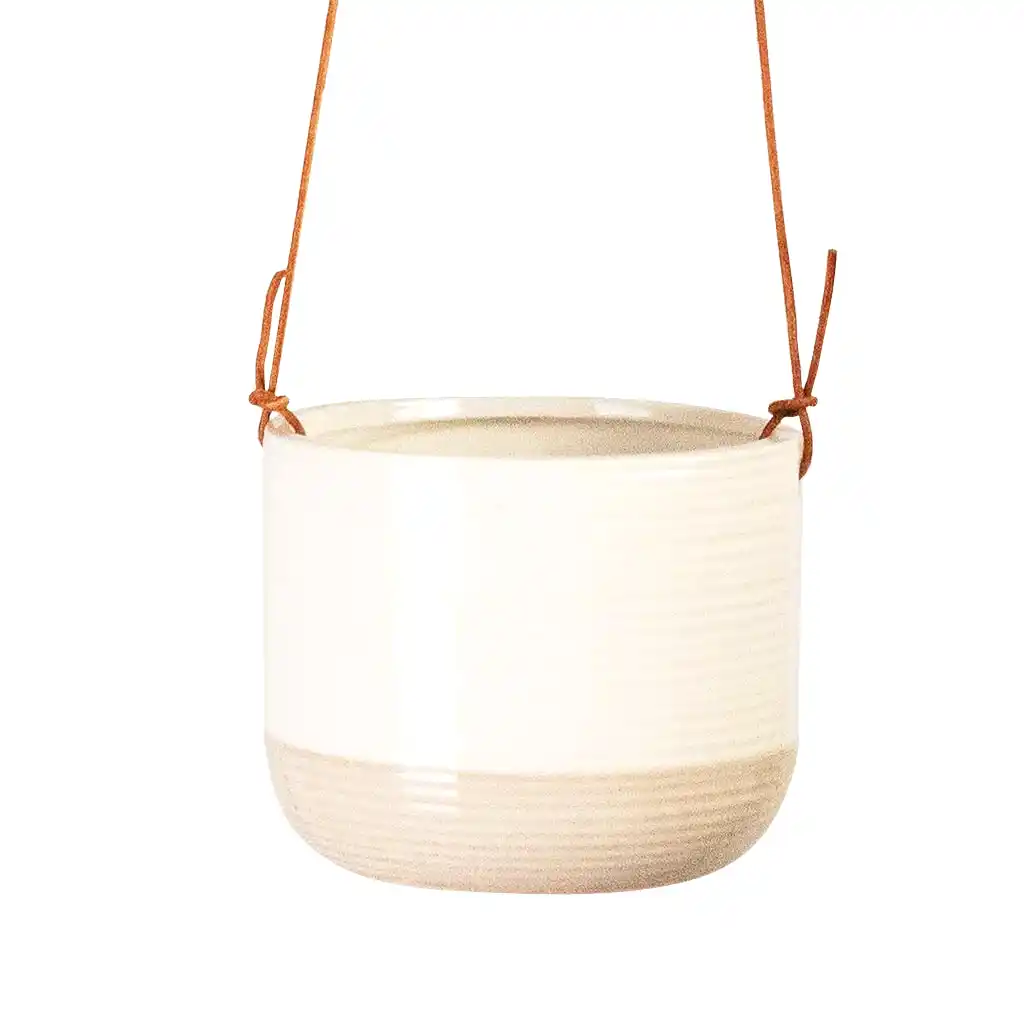 Ripple Hanging Indoor Pot 11x9cm