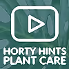 Spathiphyllum Bellini - Peace Lily Houseplant Care Tips From Hortology