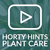 Maranta Herringbone Houseplant Care Tips From Hortology