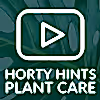 Swiss Cheese Houseplant Care Tips From Hortology